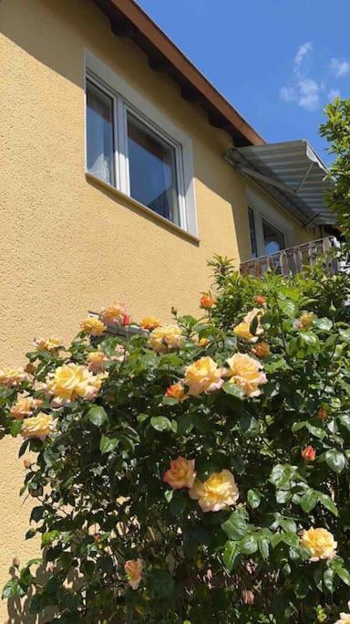 Duesseldorf Messe And Airport, 2-Bedroom Apartment With Kitchen And Garden 뒤스부르크 외부 사진