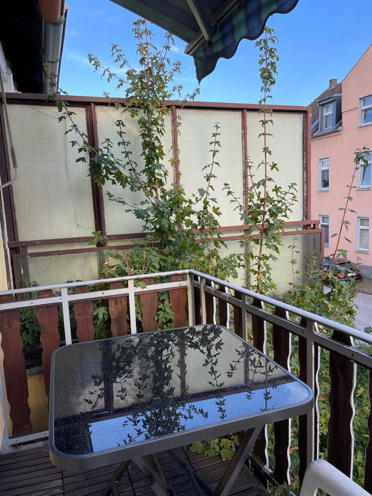 Duesseldorf Messe And Airport, 2-Bedroom Apartment With Kitchen And Garden 뒤스부르크 외부 사진